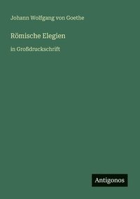 bokomslag Römische Elegien