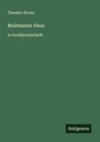 bokomslag Bulemanns Haus: in Großdruckschrift