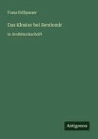 bokomslag Das Kloster bei Sendomir: in Großdruckschrift