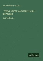 bokomslag Tyynen meren rannikolta; Pieniä kuvauksia: suuraakkosin