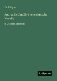 bokomslag Andrea Delfin; Eine venezianische Novelle