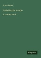 bokomslag Nella Nebbia; Novelle