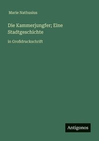 bokomslag Die Kammerjungfer; Eine Stadtgeschichte: in Großdruckschrift