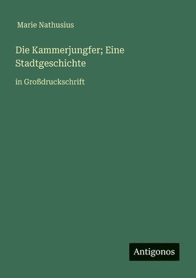 bokomslag Die Kammerjungfer; Eine Stadtgeschichte: in Großdruckschrift