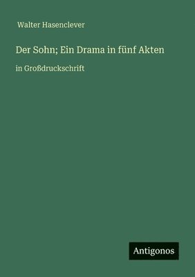Walter Hasenclever, Walter Hasenclever - Sohn; Ein Drama in fünf Akten, Häftad