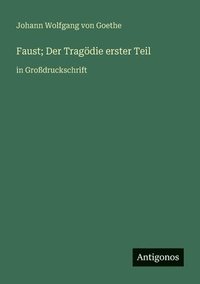 bokomslag Faust; Der Tragödie erster Teil: in Großdruckschrift