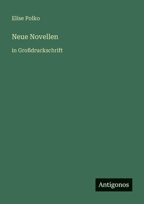 bokomslag Neue Novellen: in Großdruckschrift