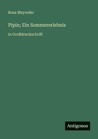 bokomslag Pipin; Ein Sommererlebnis: in Großdruckschrift