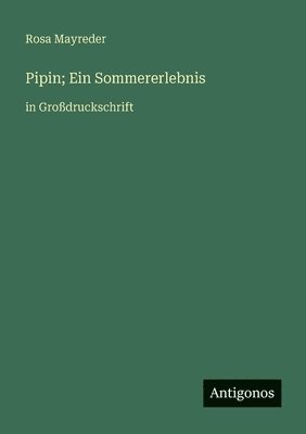 bokomslag Pipin; Ein Sommererlebnis: in Großdruckschrift