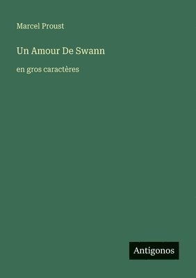 bokomslag Amour De Swann