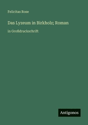 Das Lyzeum in Birkholz; Roman: in Großdruckschrift