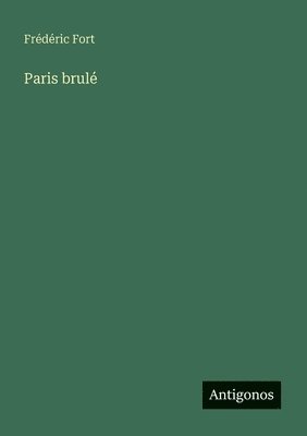 bokomslag Paris brulé