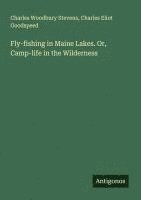 bokomslag Fly-fishing in Maine Lakes. Or, Camp-life in the Wilderness