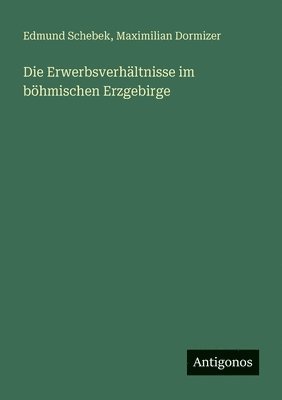 Edmund Schebek, Maximilian Dormizer - Erwerbsverhältnisse im böhmischen Erzgebirge, Häftad