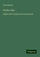 bokomslag Choléra 1865