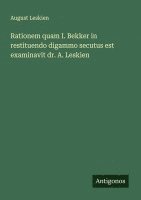 bokomslag Rationem quam I. Bekker in restituendo digammo secutus est examinavit dr. A. Leskien