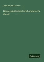 bokomslag Des accidents dans les laboratoires de chimie