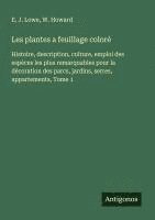 bokomslag Les plantes a feuillage coloré: Histoire, description, culture, emploi des espèces les plus remarquables pour la décoration des parcs, jardins, serres