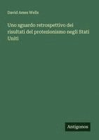 bokomslag Uno sguardo retrospettivo dei risultati del protezionismo negli Stati Uniti