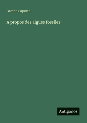 À propos des algues fossiles