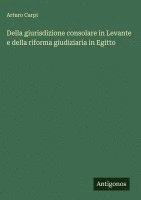 bokomslag Della giurisdizione consolare in Levante e della riforma giudiziaria in Egitto