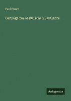 bokomslag Beiträge zur assyrischen Lautlehre