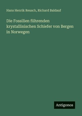 bokomslag Fossilien führenden krystallinischen Schiefer von Bergen in Norwegen