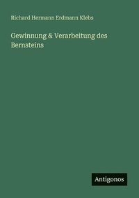 bokomslag Gewinnung & Verarbeitung des Bernsteins