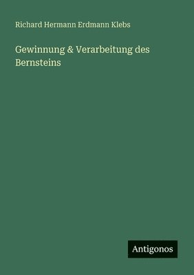 Gewinnung & Verarbeitung des Bernsteins 1