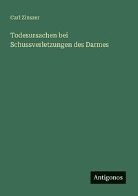 bokomslag Todesursachen bei Schussverletzungen des Darmes