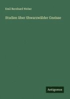 bokomslag Studien über Shwarzwälder Gneisse
