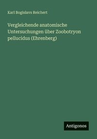 bokomslag Vergleichende anatomische Untersuchungen über Zoobotryon pellucidus (Ehrenberg)
