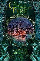 Chroniken der Unterwelt 06. City of Heavenly Fire