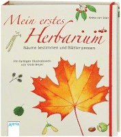 Mein erstes Herbarium - Bäume bestimmen und Blätter pressen 1