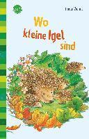 bokomslag Wo kleine Igel sind