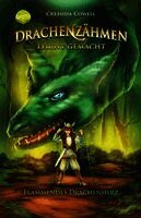 Drachenzähmen leicht gemacht (8). Flammendes Drachenherz