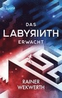 bokomslag Das Labyrinth (1). Das Labyrinth erwacht