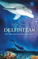 bokomslag DelfinTeam (2). Der Sog des Bermudadreiecks