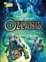 Anna Ruhe - Ozeanis (2). Wettlauf durch die Brandung, Inbunden