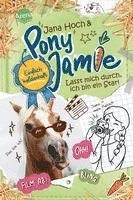 bokomslag Pony Jamie - Einfach heldenhaft! (3). Lasst mich durch, ich bin ein Star!