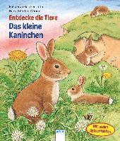 Entdecke die Tiere. Das kleine Kaninchen