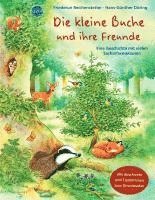 Friederun Reichenstetter - Die kleine Buche und ihre Freunde, Inbunden