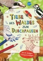 bokomslag Tiere des Waldes zum Durchpausen
