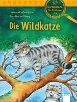 bokomslag Die Wildkatze