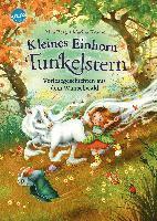 Kleines Einhorn Funkelstern. Vorlesegeschichten aus dem Wunschwald 1