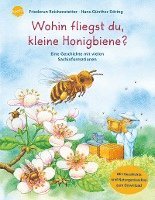 Friederun Reichenstetter - Wohin fliegst du, kleine Honigbiene?, Inbunden