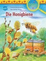 bokomslag Die Honigbiene