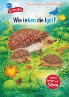 bokomslag Sachwissen für Erstleser. Wie leben die Igel?