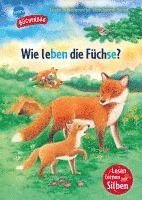 bokomslag Sachwissen für Erstleser. Wie leben die Füchse?