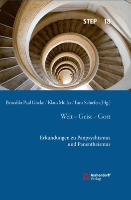 Benedikt Paul Gocke, Klaus Muller - Welt - Geist - Gott: Erkundungen Zu Panpsychismus Und Panentheismus, Inbunden